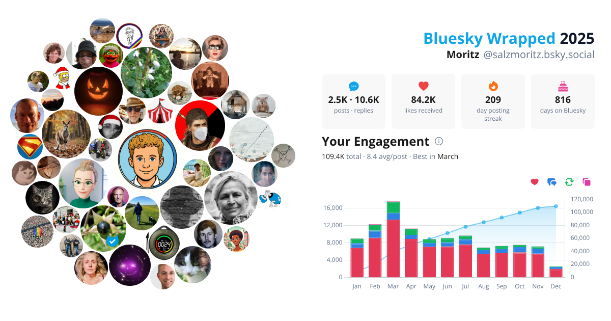 Your Bluesky Wrapped 2025 preview