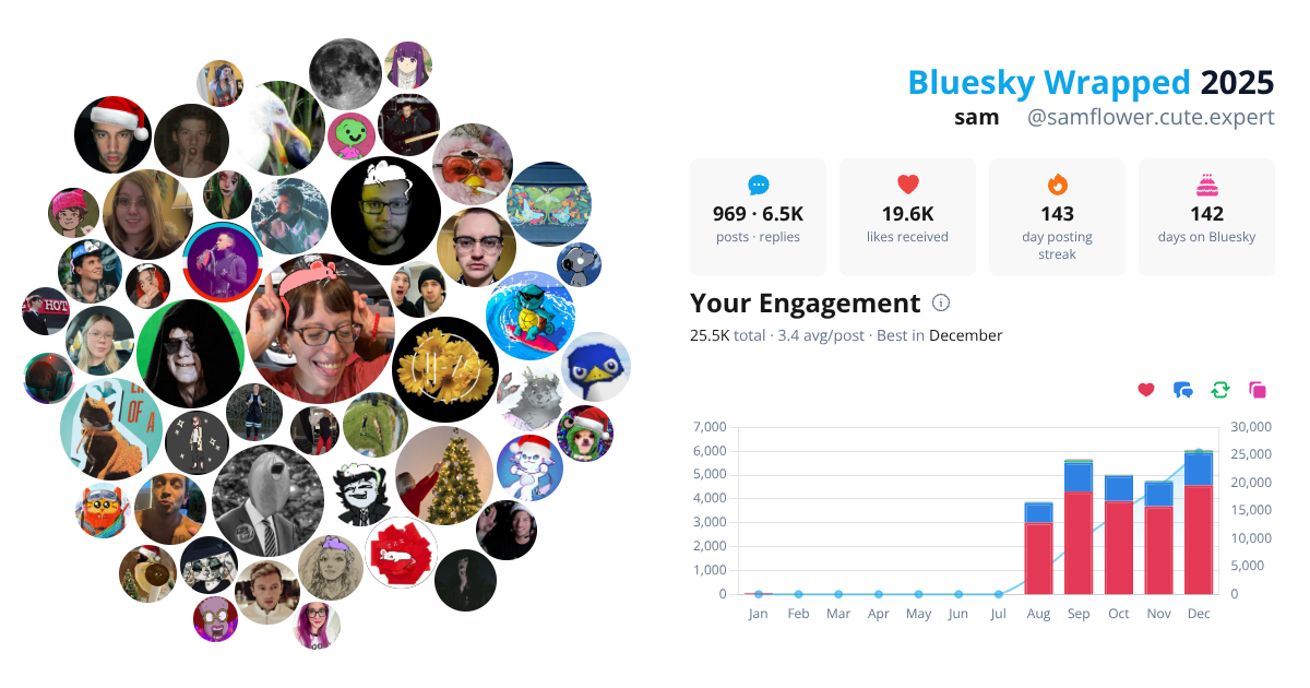 Your Bluesky Wrapped 2025 preview