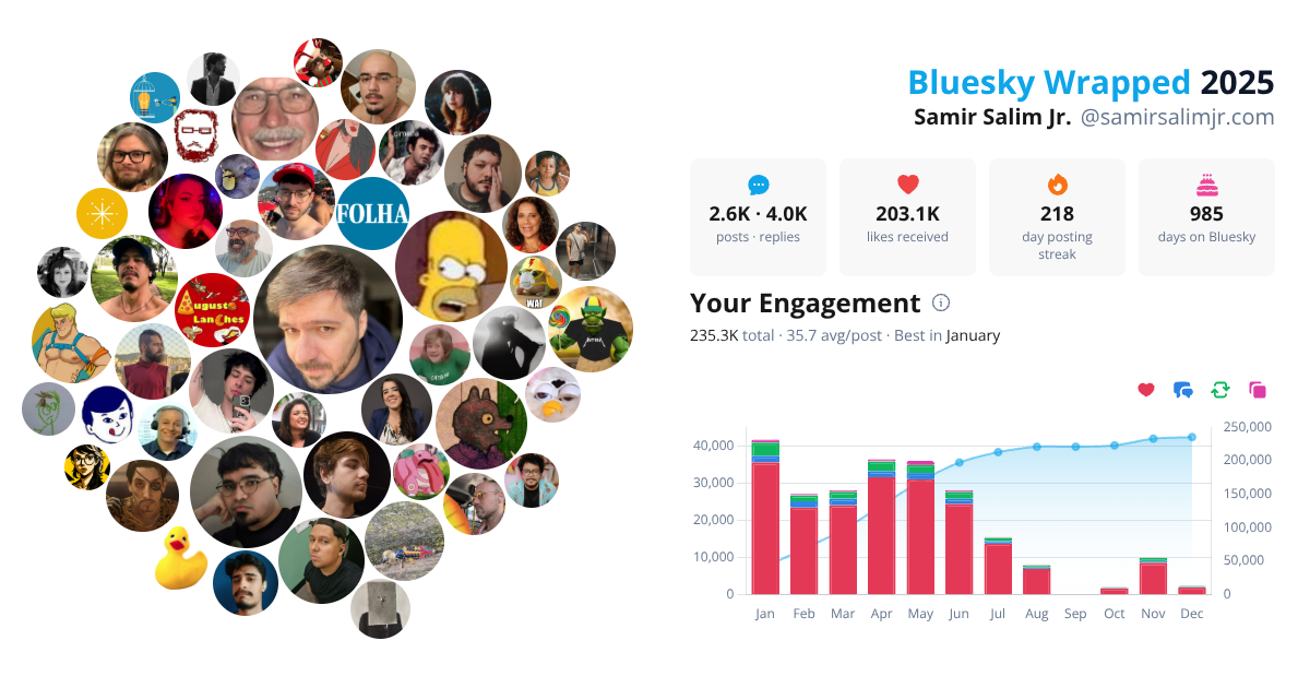 Your Bluesky Wrapped 2025 preview