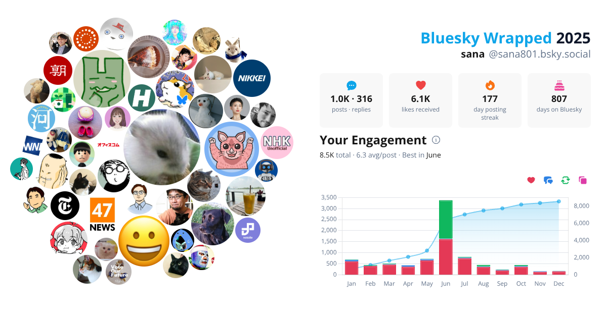 Your Bluesky Wrapped 2025 preview