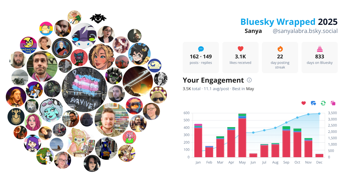 Your Bluesky Wrapped 2025 preview
