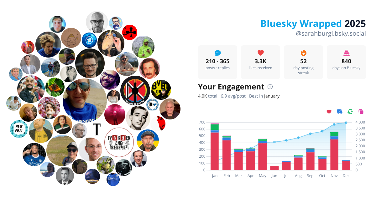 Your Bluesky Wrapped 2025 preview