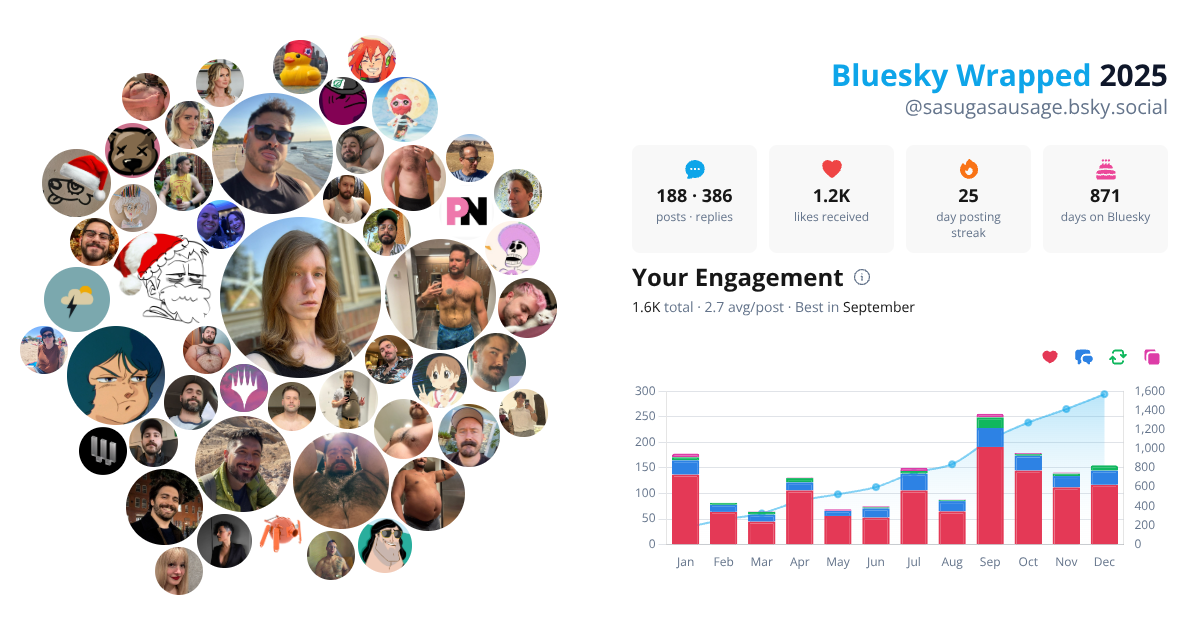 Your Bluesky Wrapped 2025 preview