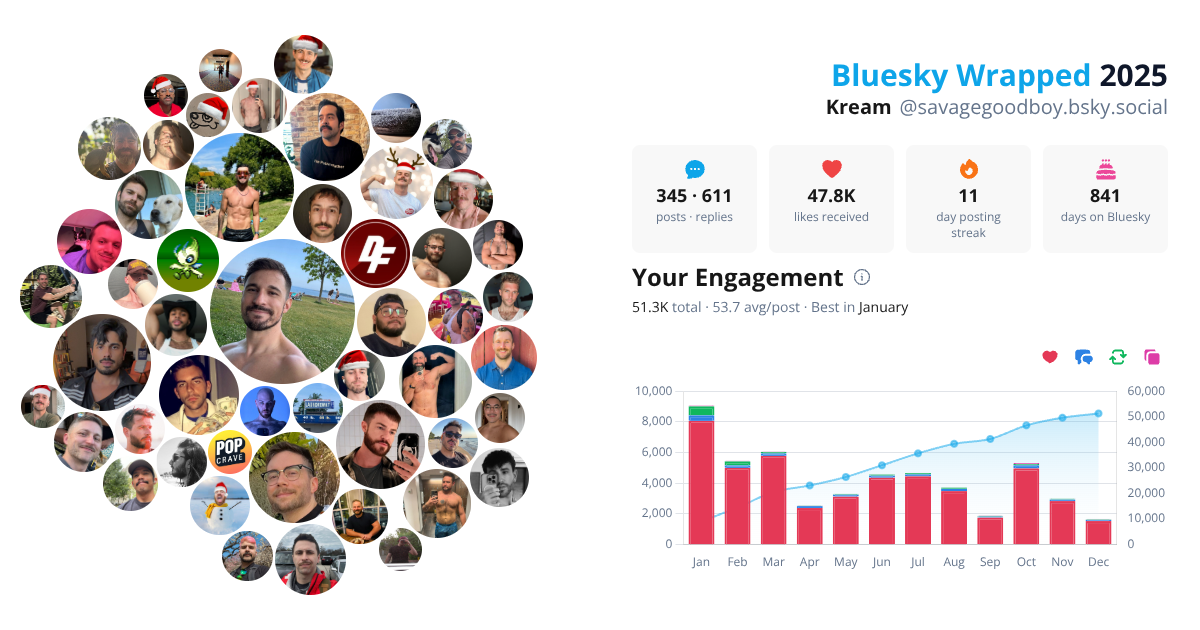 Your Bluesky Wrapped 2025 preview