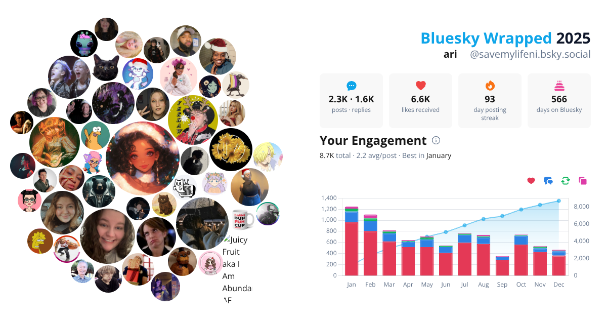 Your Bluesky Wrapped 2025 preview