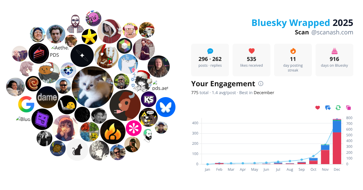 Your Bluesky Wrapped 2025 preview