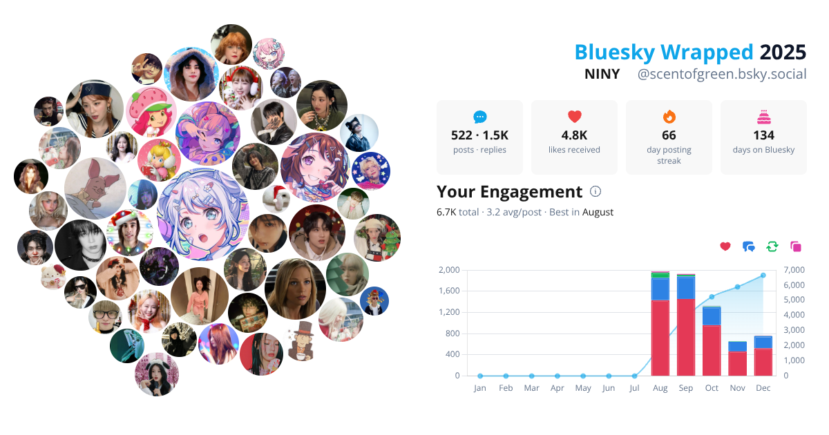 Your Bluesky Wrapped 2025 preview