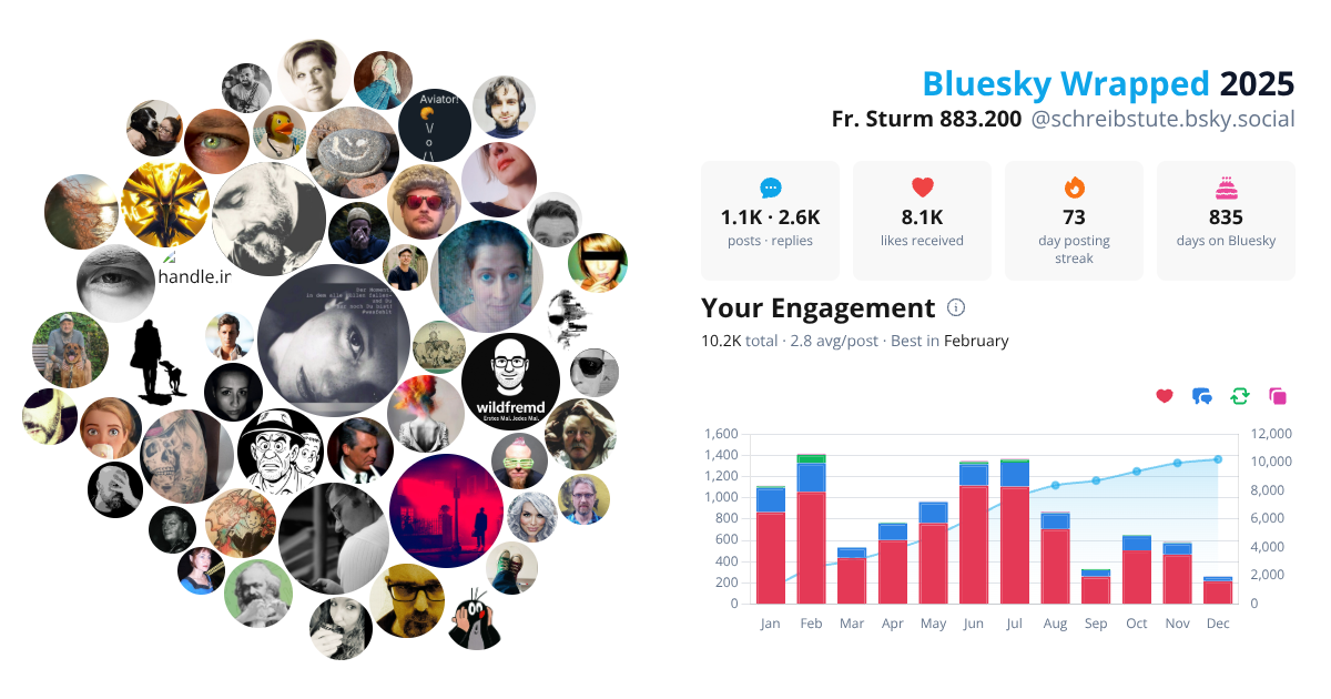 Your Bluesky Wrapped 2025 preview