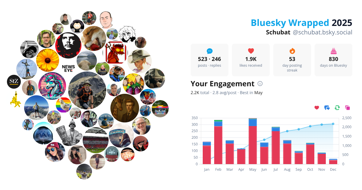 Your Bluesky Wrapped 2025 preview