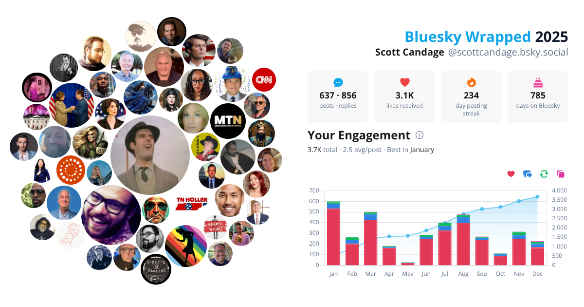 Your Bluesky Wrapped 2025 preview