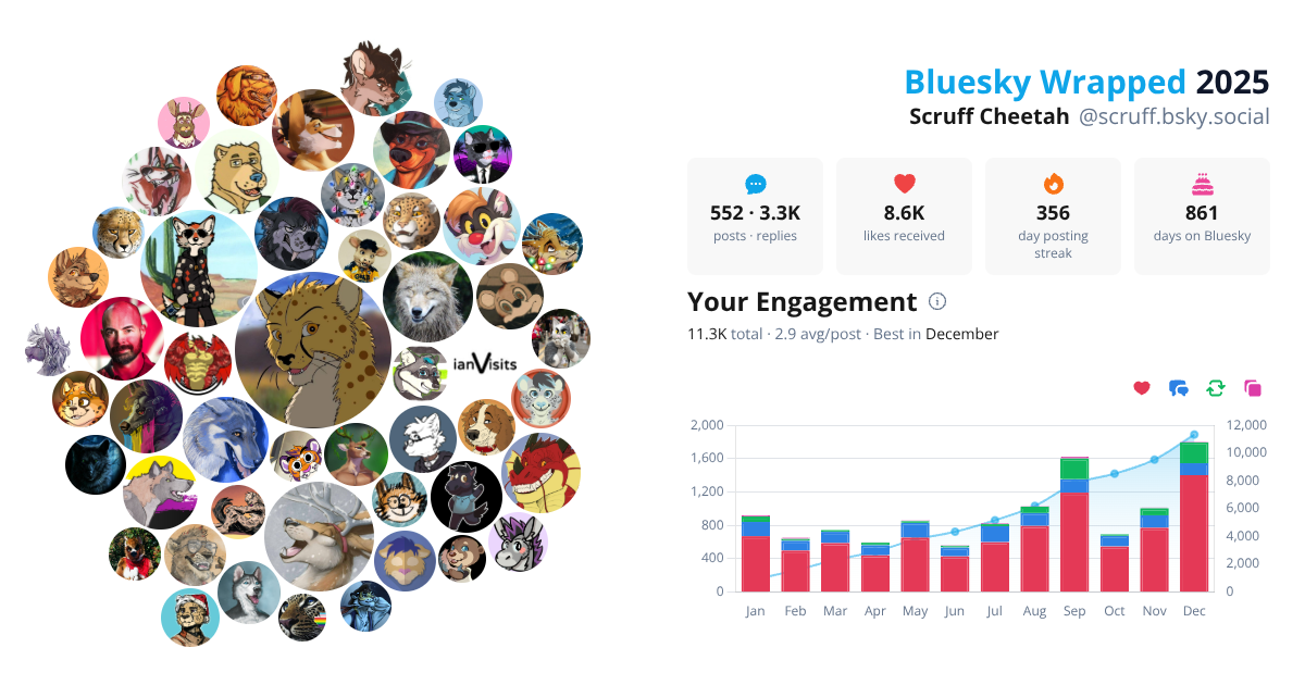 Your Bluesky Wrapped 2025 preview