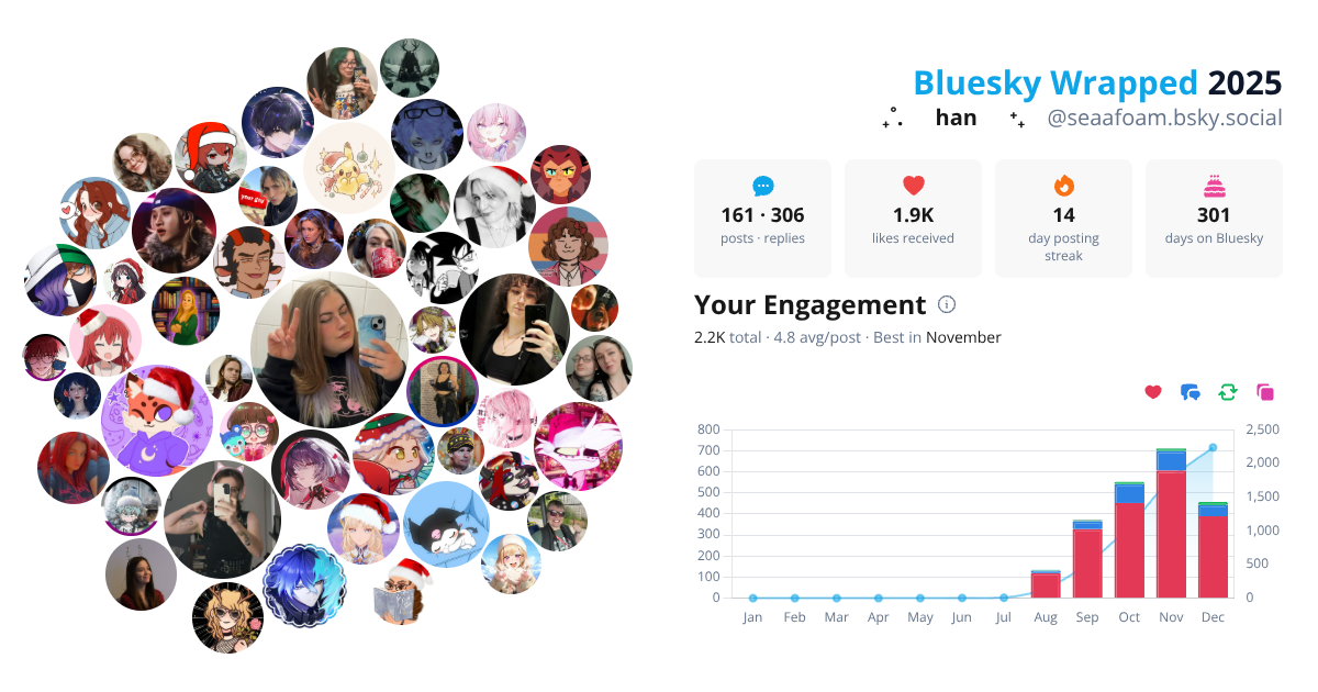 Your Bluesky Wrapped 2025 preview
