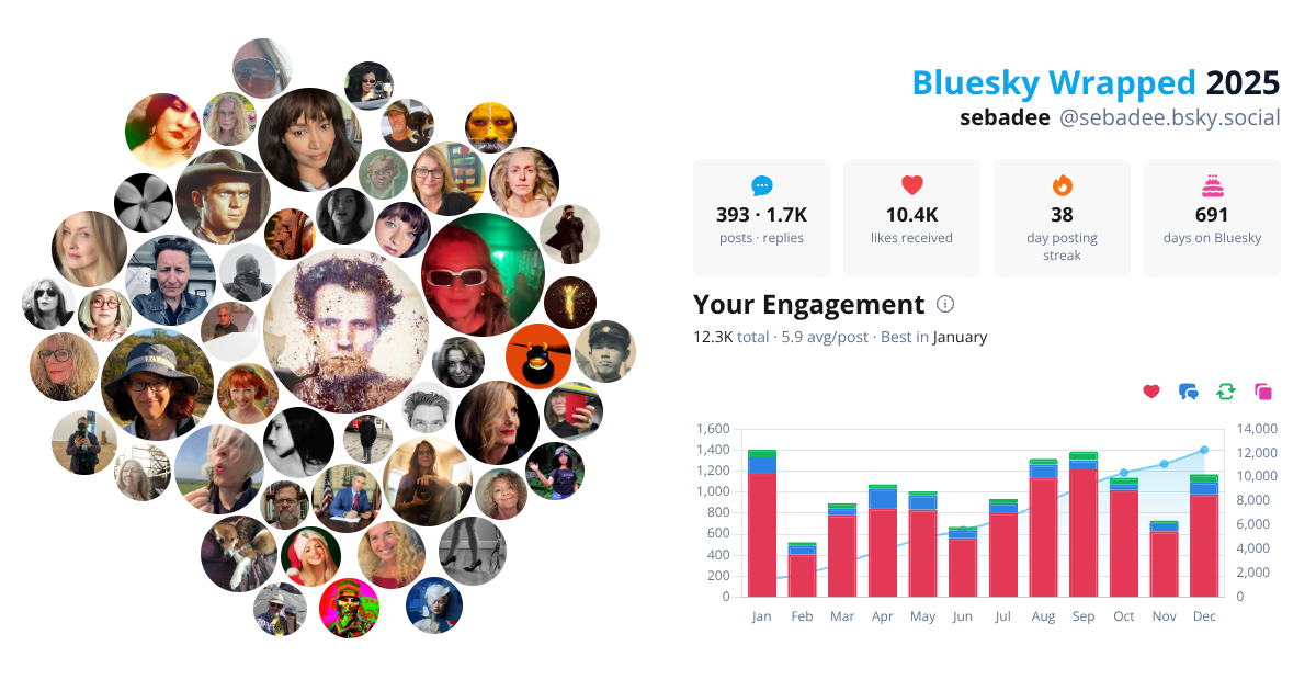 Your Bluesky Wrapped 2025 preview