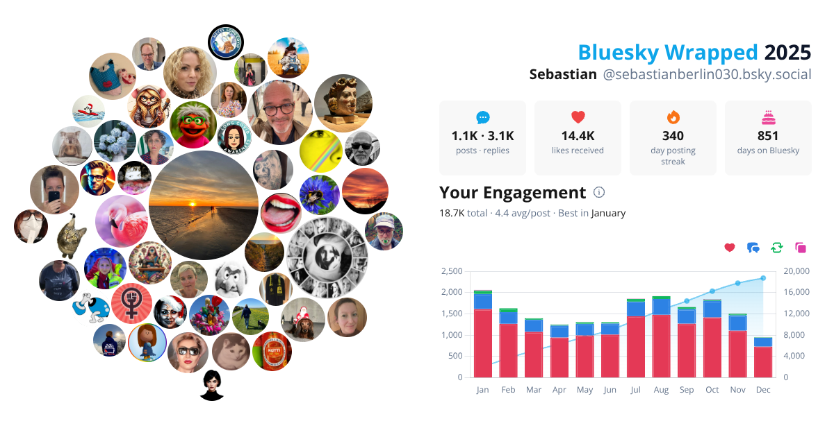 Your Bluesky Wrapped 2025 preview
