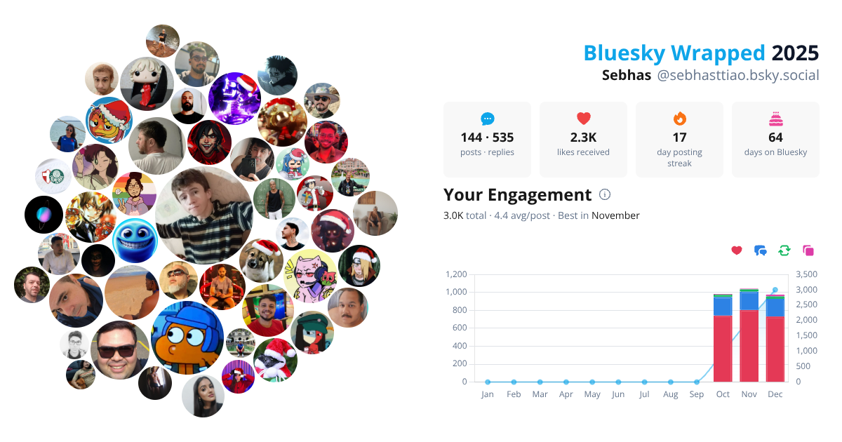Your Bluesky Wrapped 2025 preview