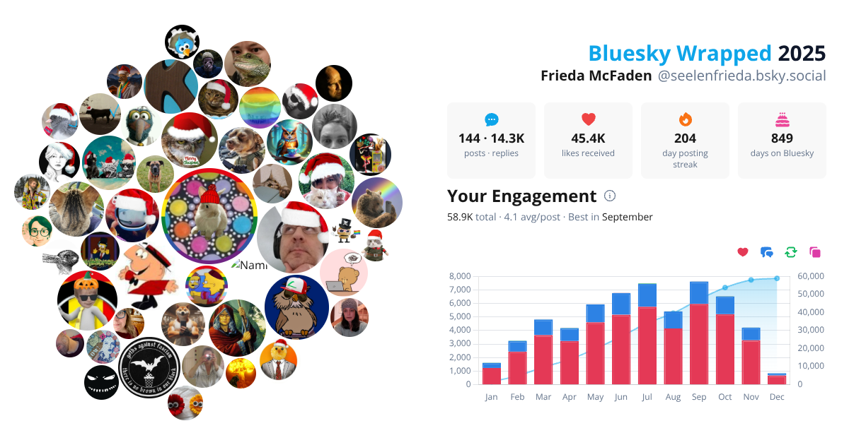 Your Bluesky Wrapped 2025 preview