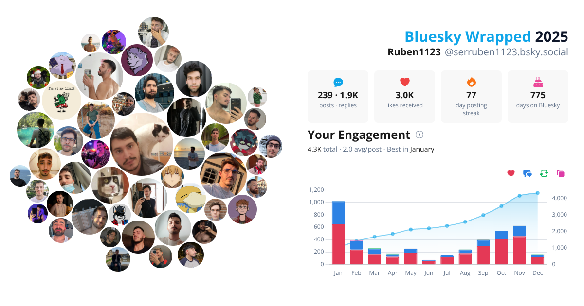 Your Bluesky Wrapped 2025 preview