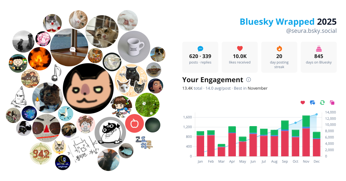 Your Bluesky Wrapped 2025 preview