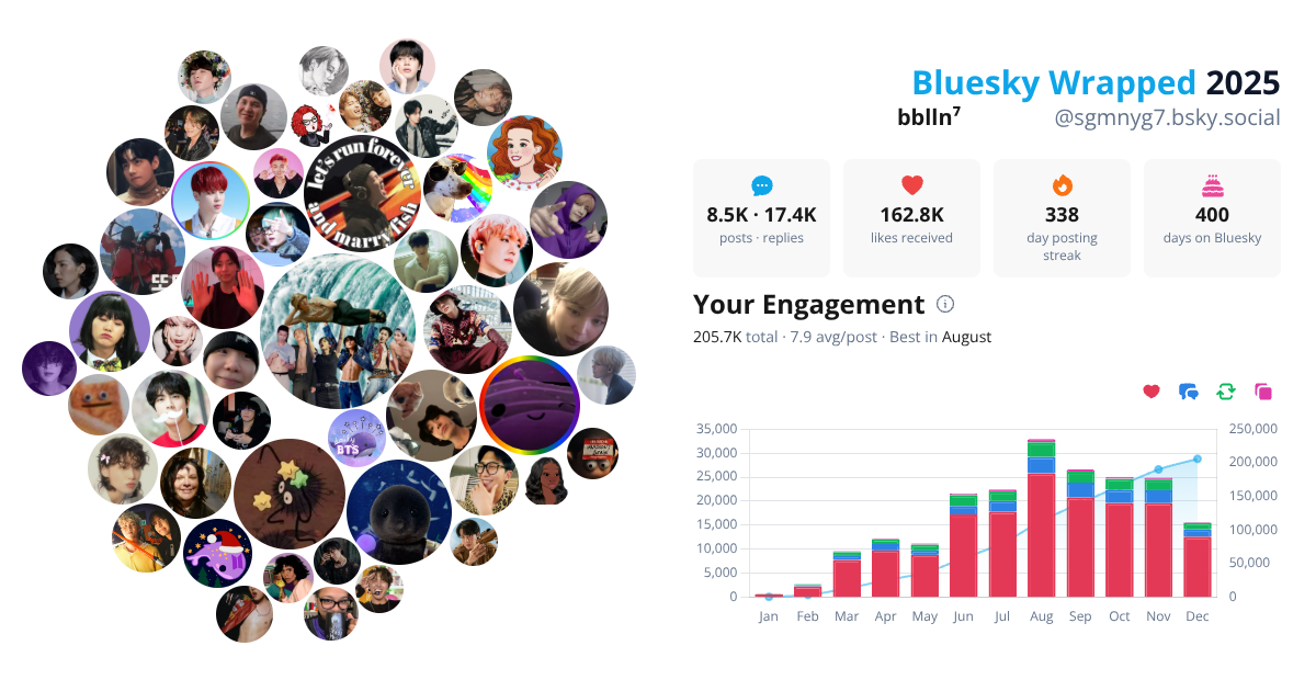 Your Bluesky Wrapped 2025 preview