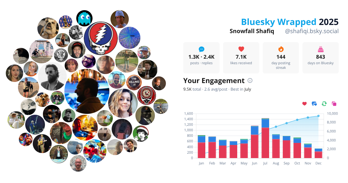 Your Bluesky Wrapped 2025 preview