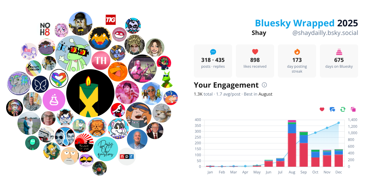 Your Bluesky Wrapped 2025 preview