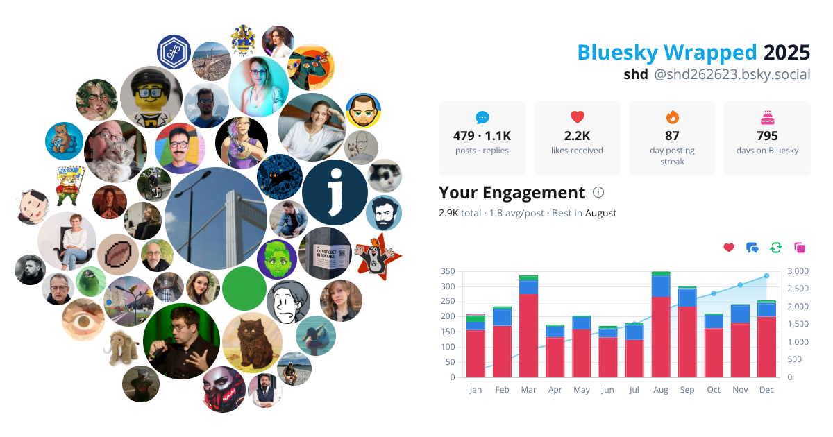 Your Bluesky Wrapped 2025 preview