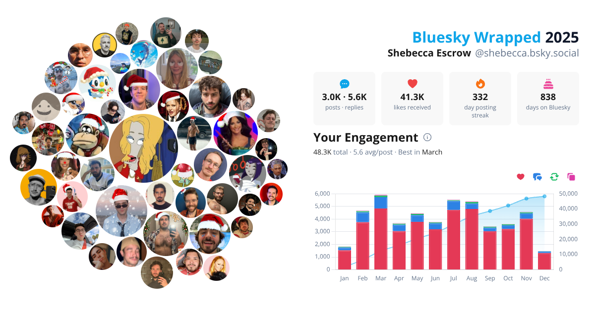 Your Bluesky Wrapped 2025 preview