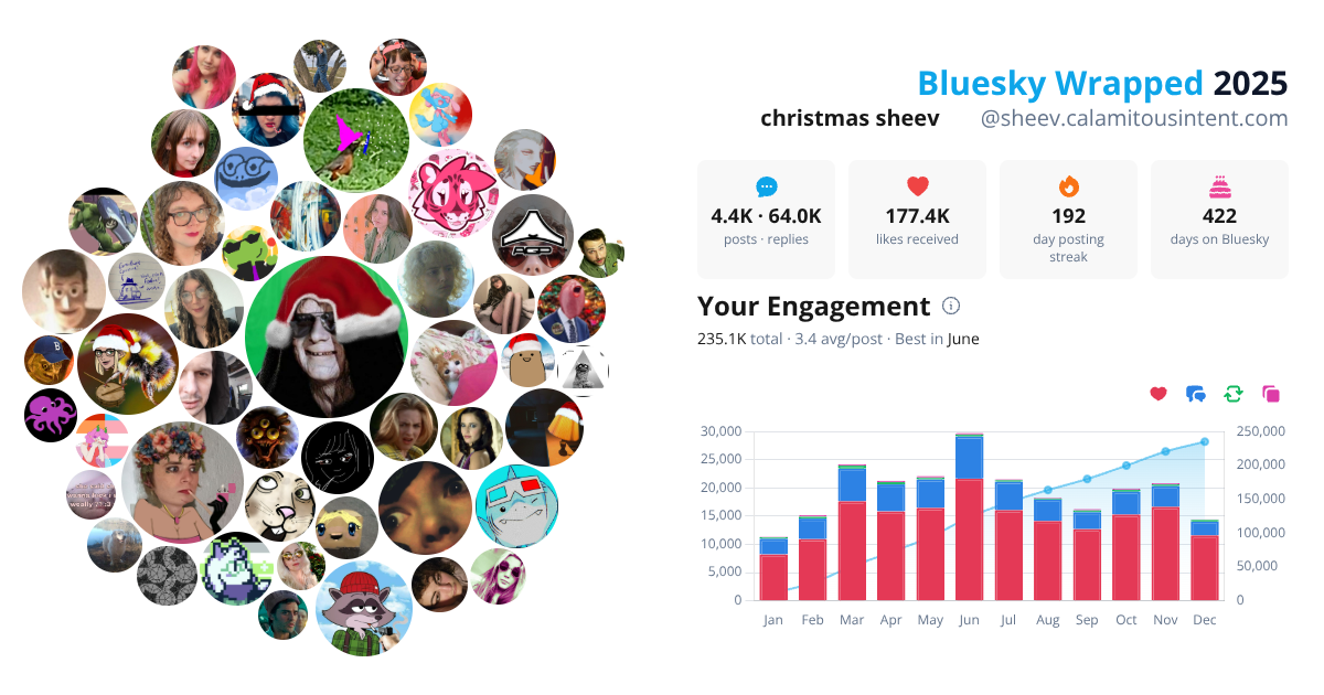Your Bluesky Wrapped 2025 preview