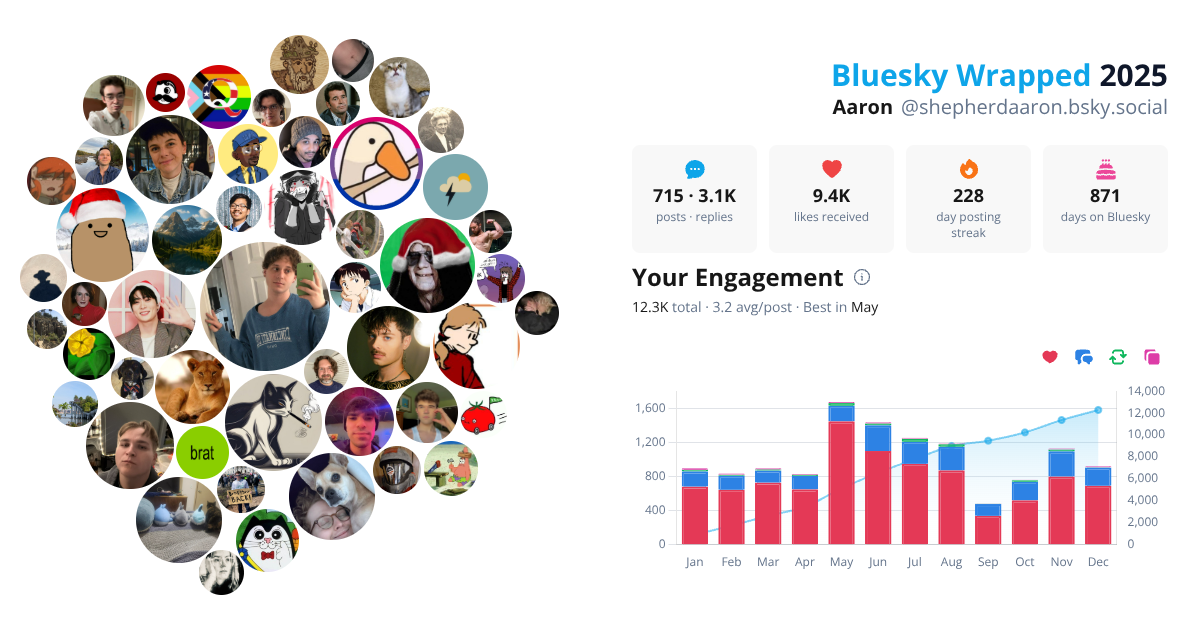 Your Bluesky Wrapped 2025 preview