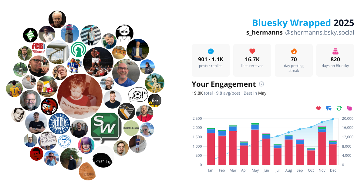 Your Bluesky Wrapped 2025 preview