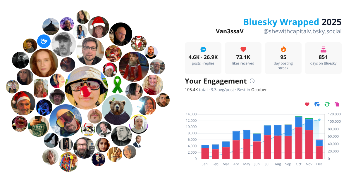 Your Bluesky Wrapped 2025 preview