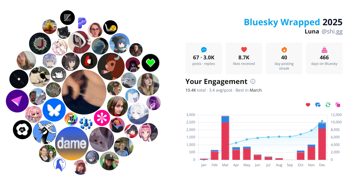 Your Bluesky Wrapped 2025 preview