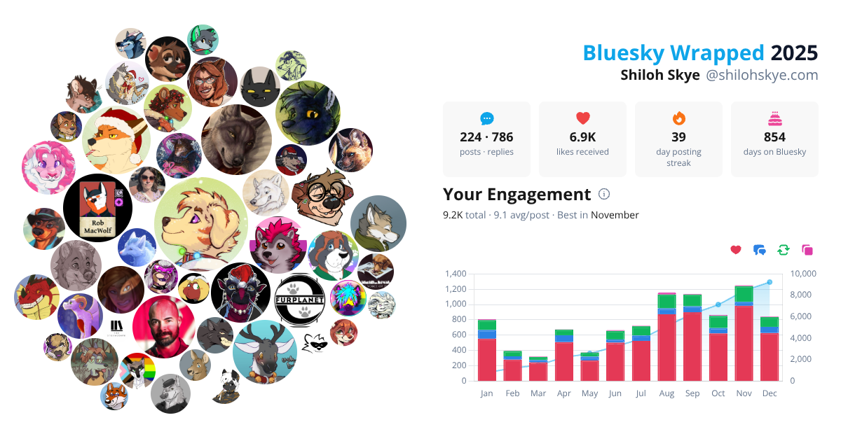 Your Bluesky Wrapped 2025 preview