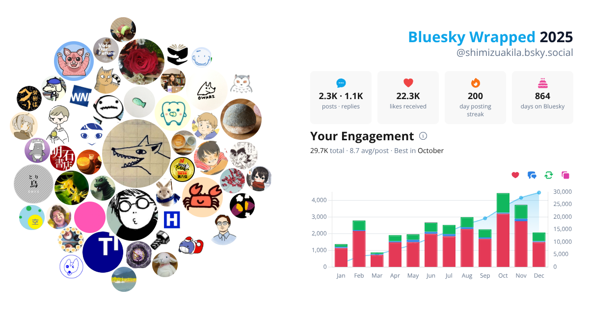 Your Bluesky Wrapped 2025 preview