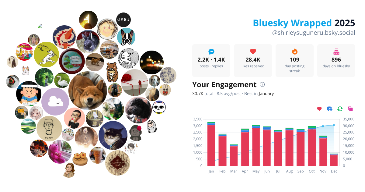 Your Bluesky Wrapped 2025 preview