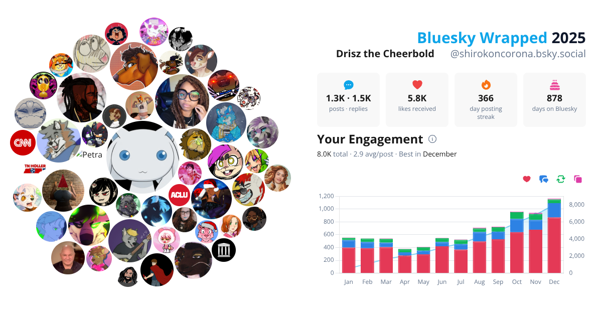 Your Bluesky Wrapped 2025 preview
