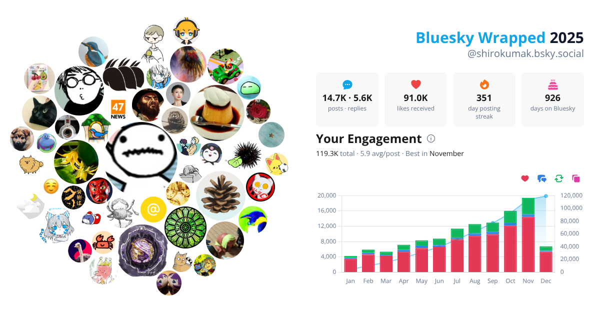 Your Bluesky Wrapped 2025 preview