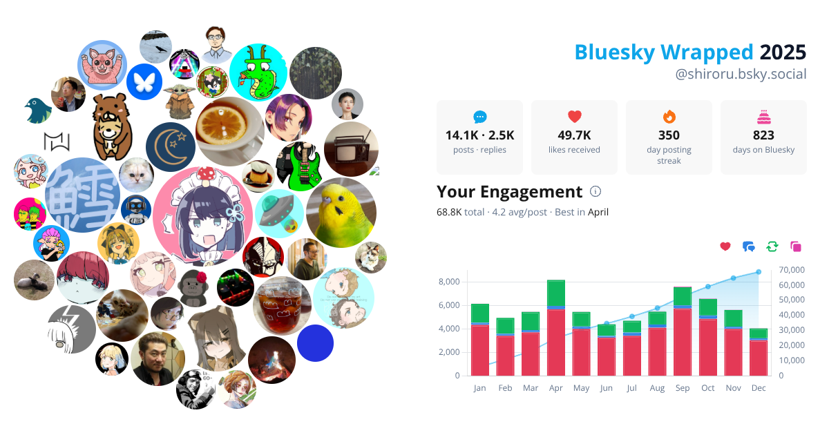 Your Bluesky Wrapped 2025 preview
