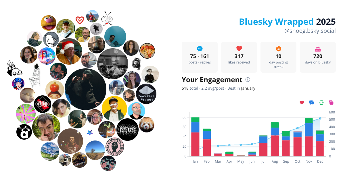 Your Bluesky Wrapped 2025 preview