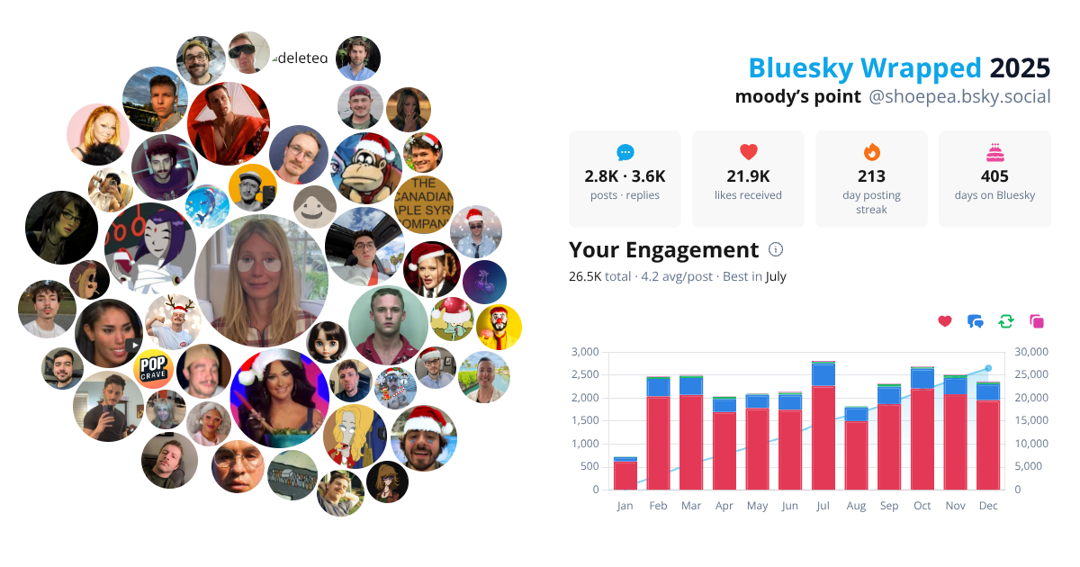 Your Bluesky Wrapped 2025 preview
