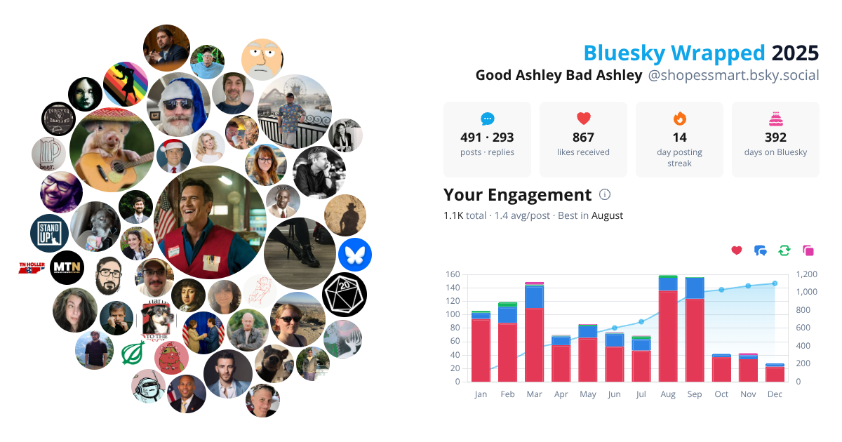 Your Bluesky Wrapped 2025 preview