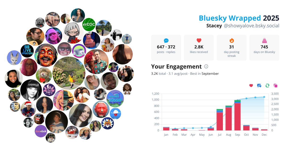 Your Bluesky Wrapped 2025 preview