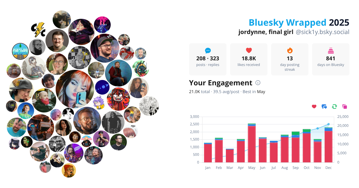Your Bluesky Wrapped 2025 preview