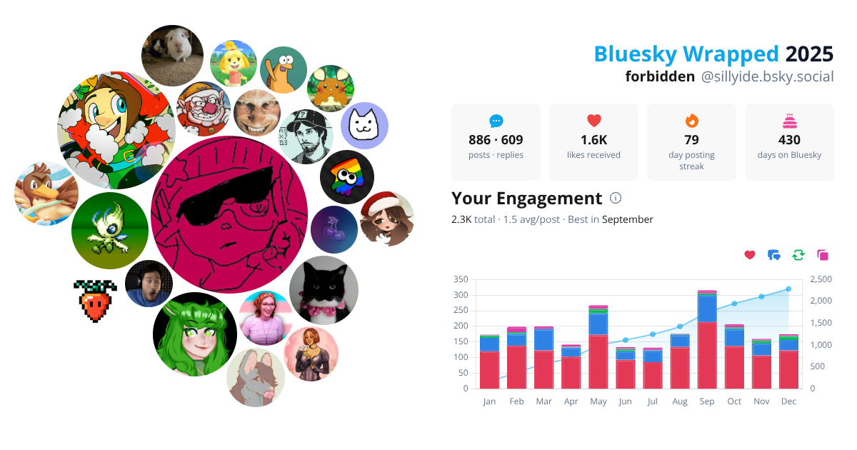 Your Bluesky Wrapped 2025 preview