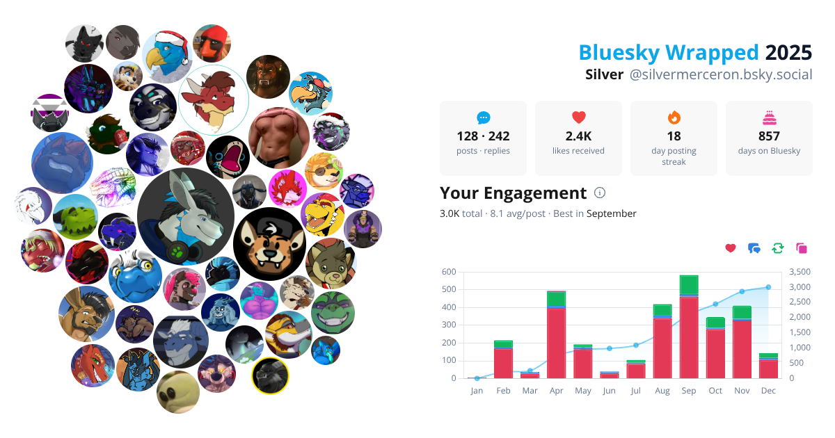 Your Bluesky Wrapped 2025 preview