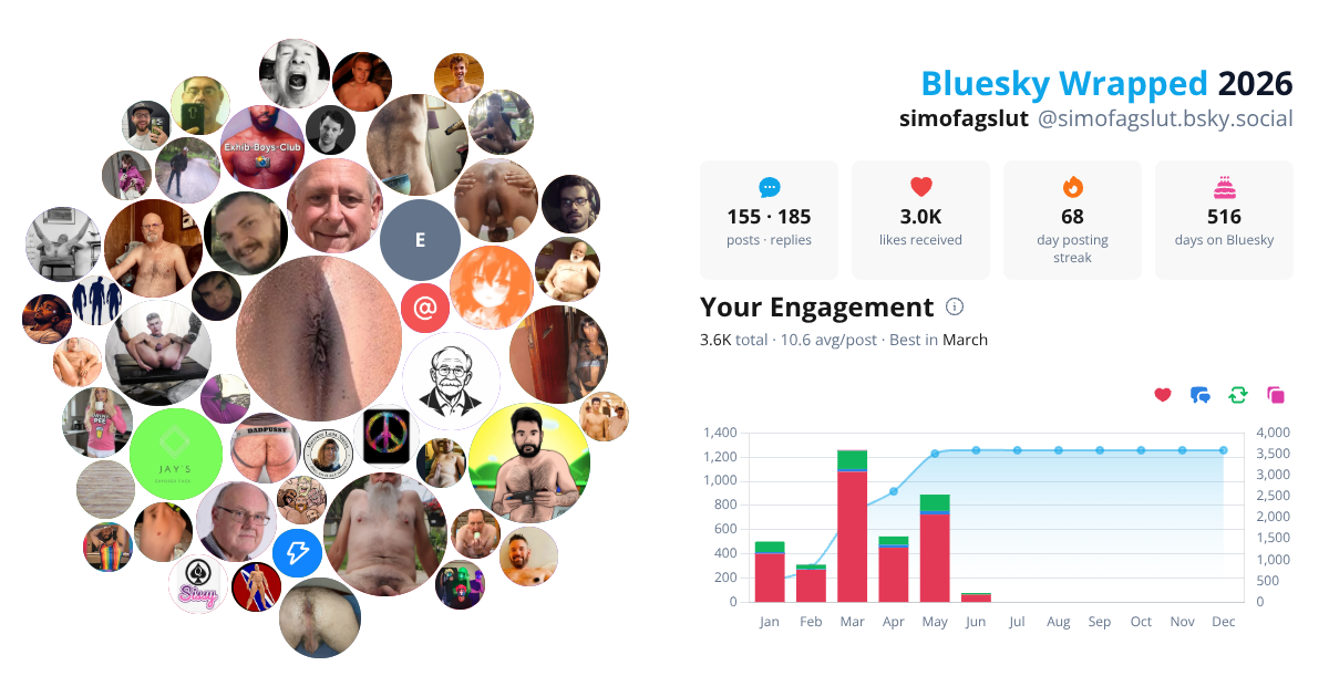 Your Bluesky Wrapped 2026 preview