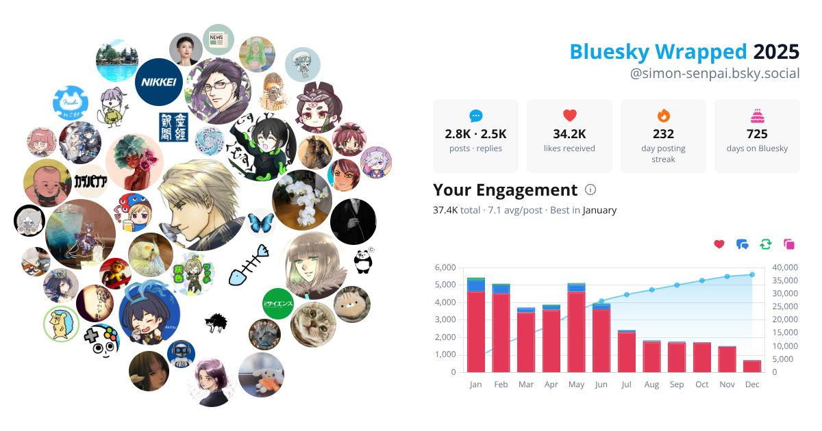 Your Bluesky Wrapped 2025 preview