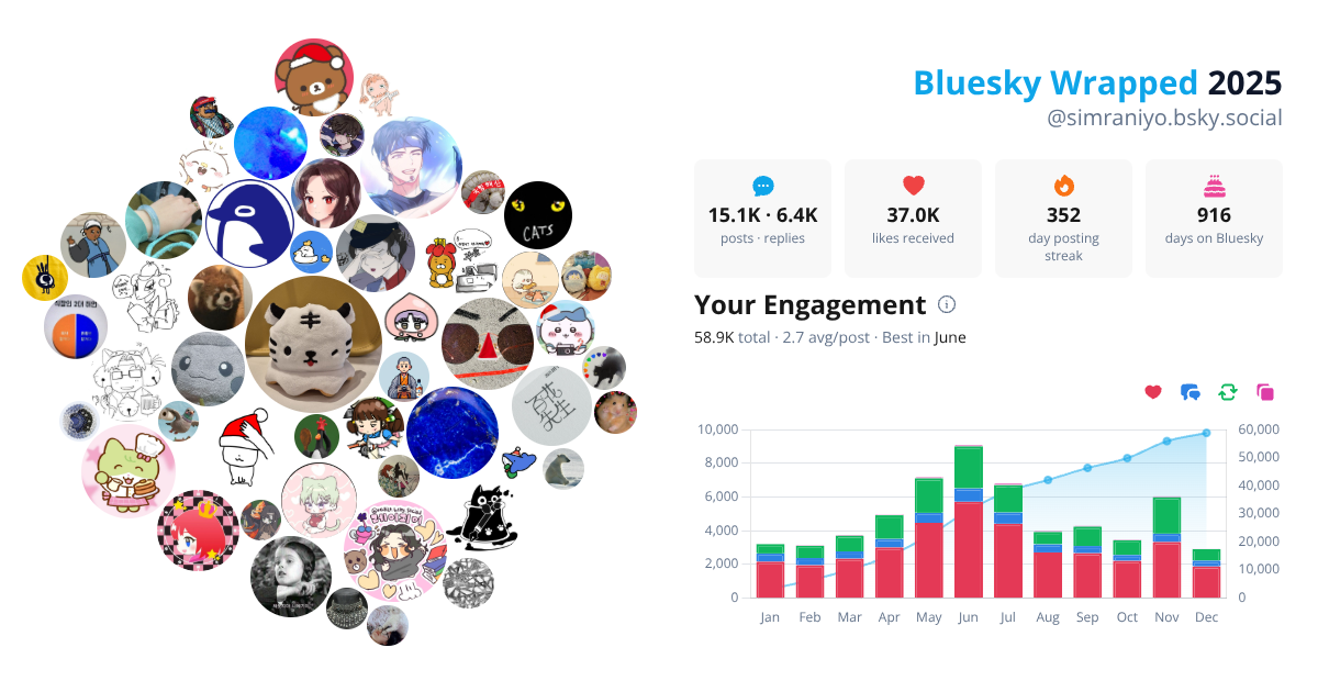 Your Bluesky Wrapped 2025 preview