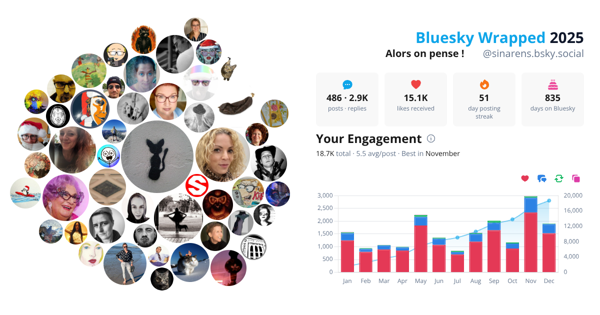 Your Bluesky Wrapped 2025 preview