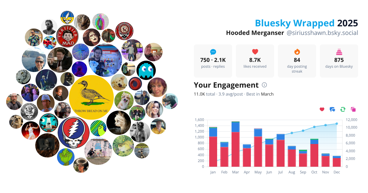 Your Bluesky Wrapped 2025 preview